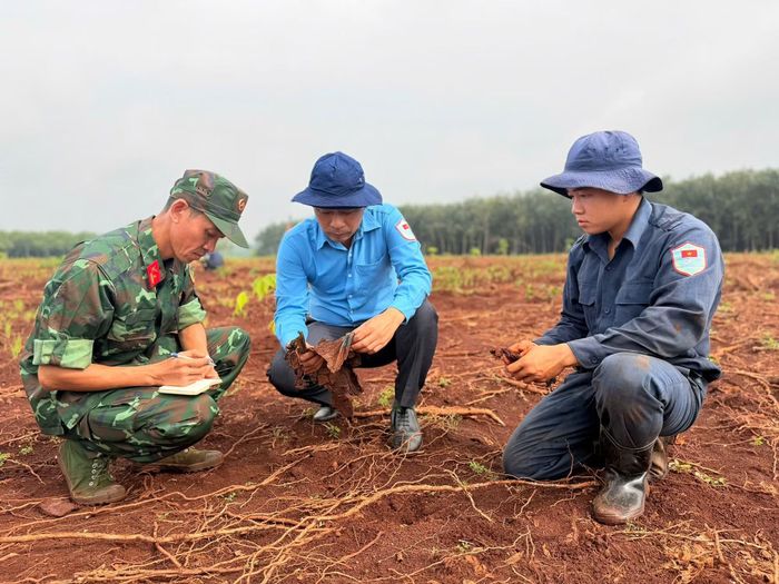 Đội K72 kết hợp với lực lượng địa phương nghiên cứu đánh giá sơ bộ các di vật vừa tìm thấy.