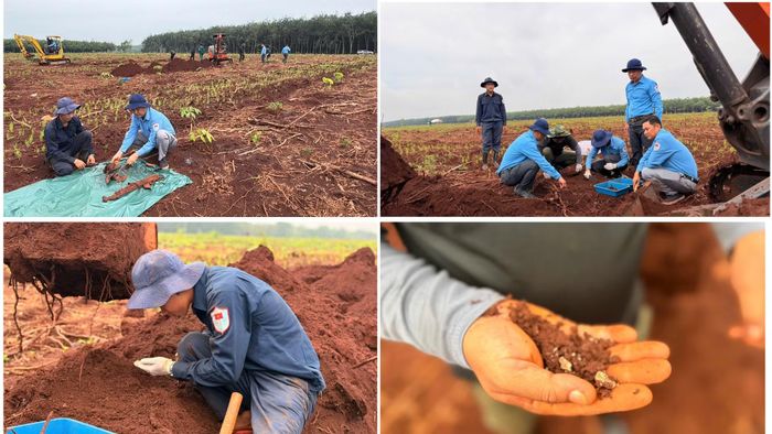 Cẩn thận tìm kiếm các dấu hiệu trong lớp đất đá và phân loại các di vật tìm thấy.