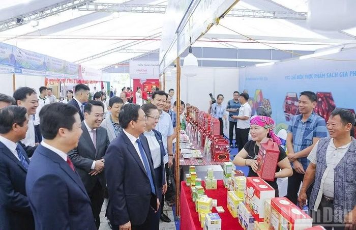 Phó Thủ tướng Hồ Đức Dũng và Bí thư Tỉnh ủy Dương Quốc Huy tham quan các sản phẩm có thế mạnh của tỉnh Lào Cai.