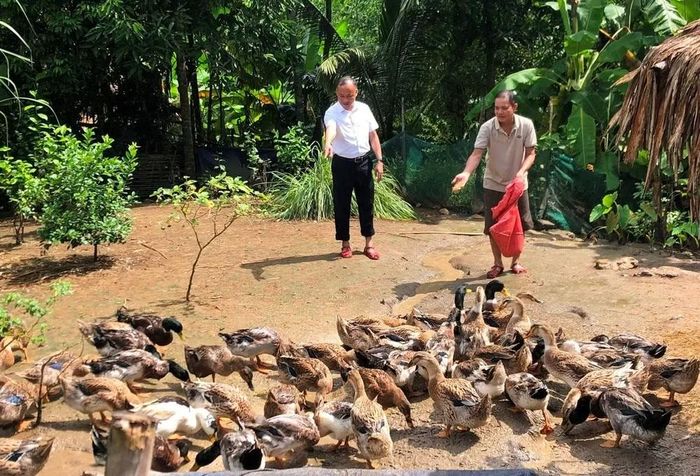 Nguồn vốn vay ưu đãi giúp nhiều hộ dân có điều kiện xây dựng mô hình chăn nuôi.