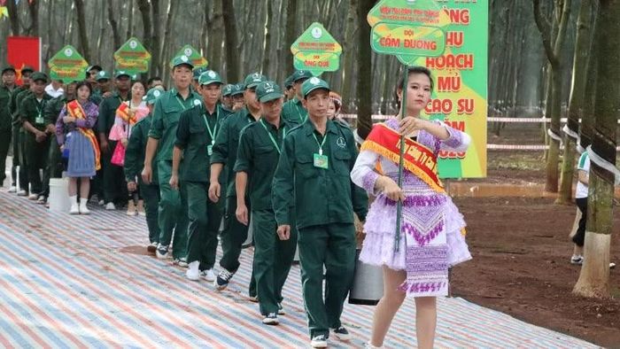 Các đội thi tham gia Hội thi Bàn tay vàng thu hoạch mủ cao-su năm 2026 của Tổng Công ty cao-su Đồng Nai.