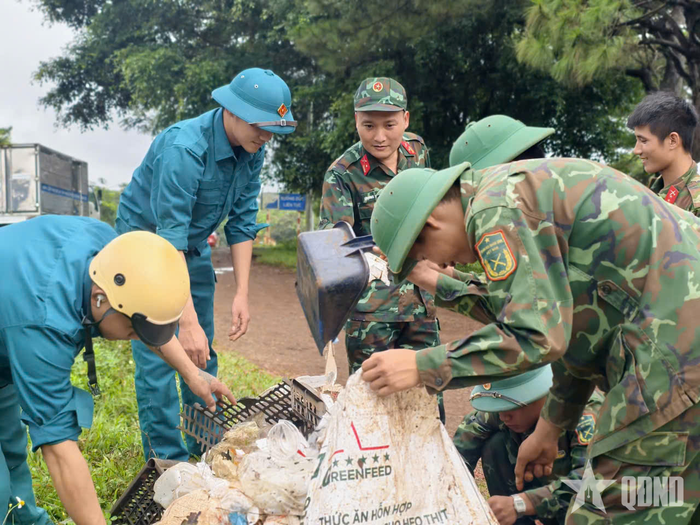 Rác thải được thu gom.
