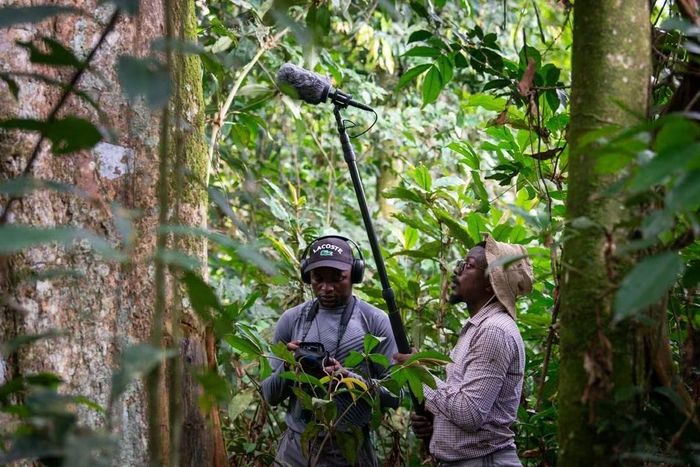 Các nhà nghiên cứu làm việc tại Vườn quốc gia Lomami, thuộc lưu vực sông Congo ở Cộng hòa Dân chủ Congo.