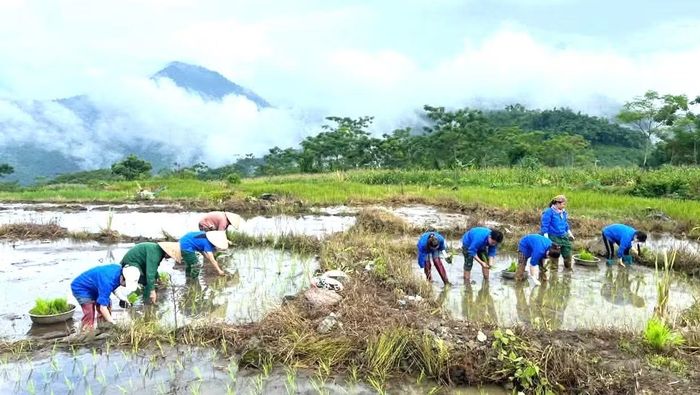Tại xã Cao Sơn, Đoàn Thanh niên xã phối hợp với Hội Liên hiệp Phụ nữ và Chi đoàn thôn Tằm tổ chức ngày công tình nguyện giúp đỡ gia đình chính sách trên địa bàn. Các đoàn viên, hội viên trực tiếp xuống đồng cấy lúa, hỗ trợ công việc đồng áng, sẻ chia phần nào khó khăn với các gia đình có công với cách mạng.