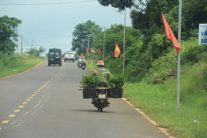 Điện NLMT được trang bị thắp sáng dọc đường biên giới thuộc địa bàn xã Quảng Trực. (Ảnh: Đại Dương)