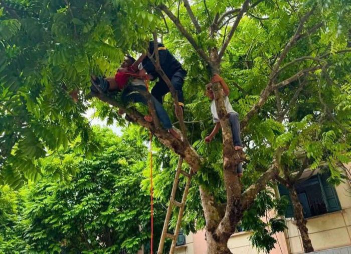 Lực lượng cứu hộ giải cứu thành công bệnh nhân tâm thần mắc kẹt