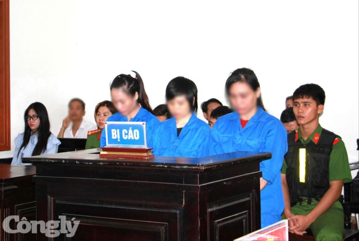 Các bị cáo tại phiên tòa.