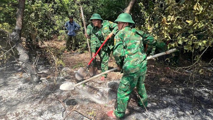 Khống chế nhanh vụ cháy rừng tại xã Phú Vinh.