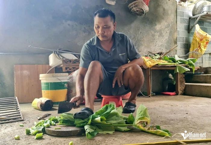 Mỗi khi thái rau cho lợn, anh Hùng phải dùng chân để giữ. Ảnh Lê Dương