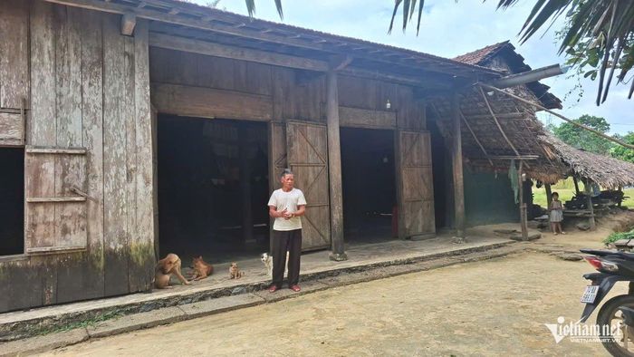 Dù cuộc sống còn nhiều khó khăn, thế nhưng ông Đô chưa bao giờ nghĩ đến việc bán đi dù chỉ là 1 cây lim trong rừng. Ảnh: Phạm Tiến