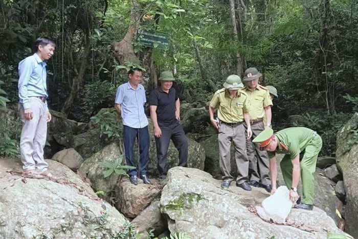 Công an phường Nguyễn Trãi, TP Hải Phòng phối hợp tổ chức thả 4 cá thể rùa Sa Nhân quý hiếm về môi trường tự nhiên.
