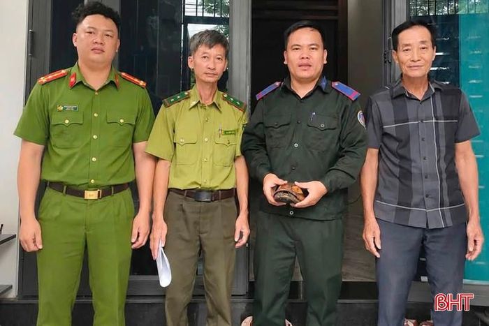 Cá thể rùa vàng được người dân bàn giao cho lực lượng chức năng.