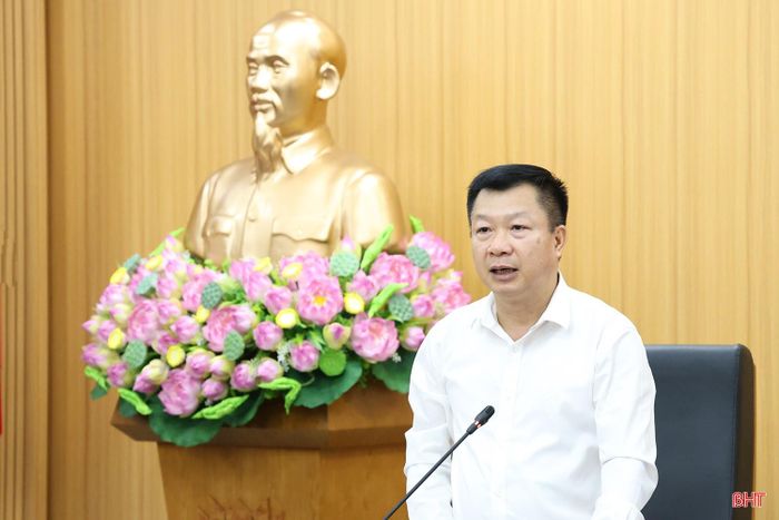 Phó Giám đốc Sở NN&amp;MT Hà Tĩnh Trần Hữu Khanh phát biểu tại cuộc họp.