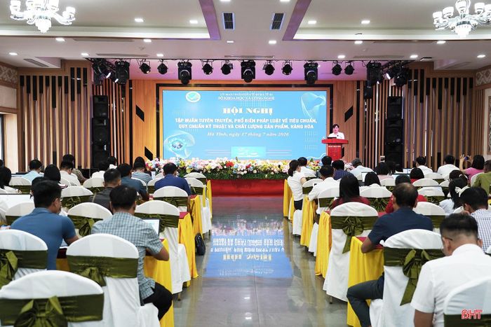 Toàn cảnh hội nghị tập huấn.