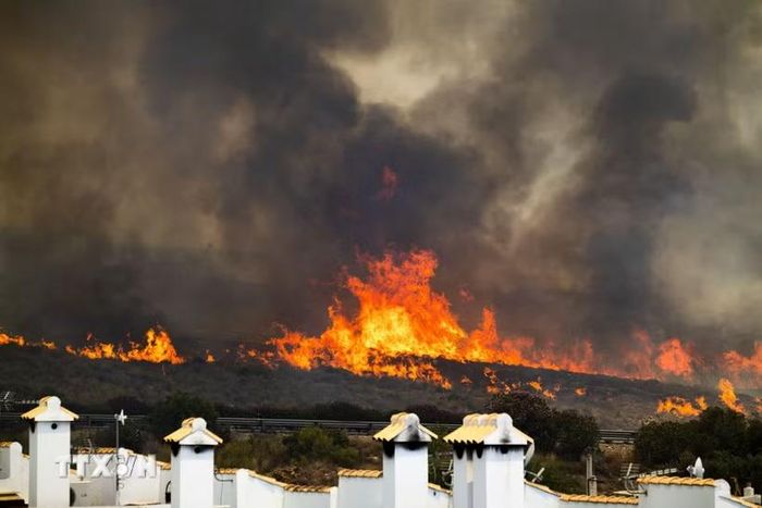 Lửa cháy rừng bùng phát dữ dội tại Los Gallardos, Almeria, Tây Ban Nha. (Ảnh: Anadolu Agency/TTXVN phát)