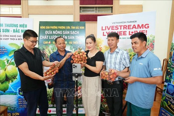Nông dân phường Phượng Sơn (tỉnh Bắc Ninh) livestream giới thiệu sản phẩm vải thiều đến người tiêu dùng qua các nền tảng số và sàn thương mại điện tử.