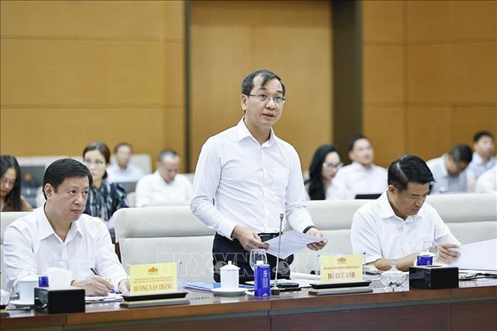 Phó Viện trưởng Viện Kiểm sát nhân dân tối cao Hồ Đức Anh thuyết trình về nội dung cơ bản của dự thảo. Ảnh: Doãn Tấn/TTXVN