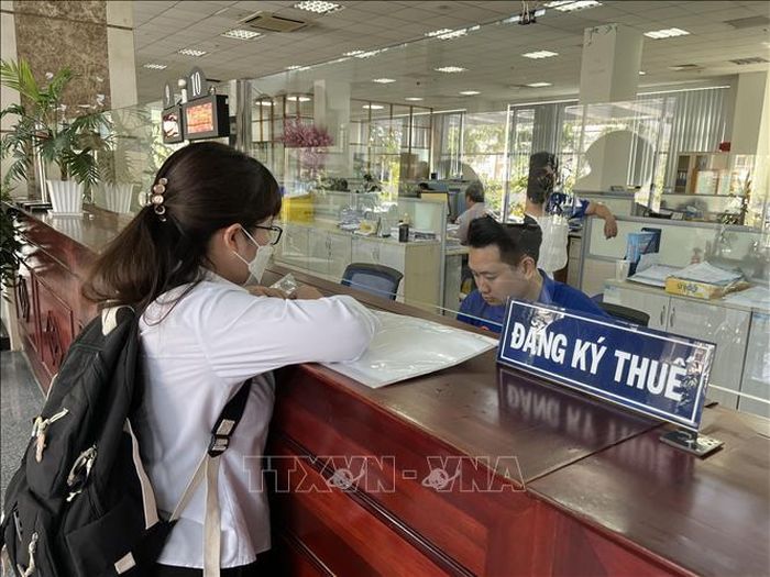 Ảnh minh họa: H.Chung/TTXVN