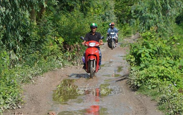 Đường bờ Bắc kênh An Phong - Mỹ Hòa (đoạn từ cầu Phương Thịnh đến kênh Tây Cập) lầy lội, trơn trượt vào mùa mưa.
