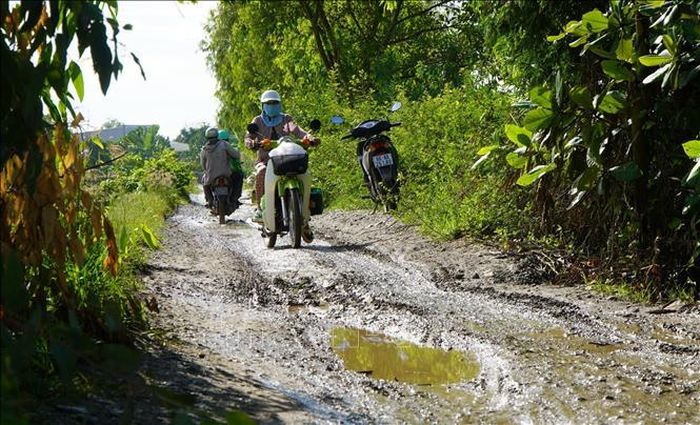 Đường bờ Bắc kênh An Phong - Mỹ Hòa (đoạn từ cầu Phương Thịnh đến kênh Tây Cập) trơn trượt, lầy lội vào mùa mưa.