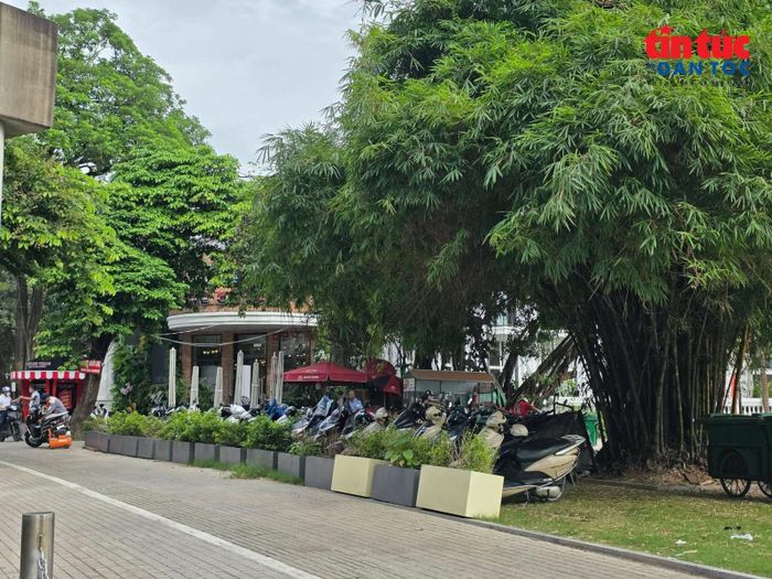 Trong bán đảo cũng lập điểm đỗ xe máy trên thảm cỏ.
