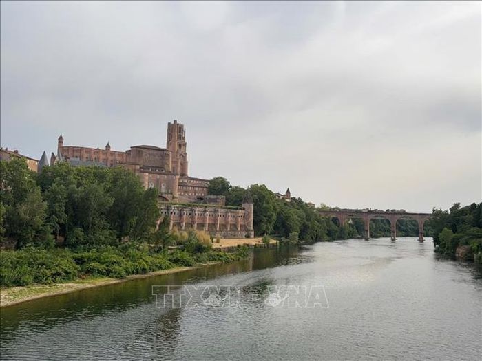 Nhà thờ Sainte-Cécile nhìn từ cầu Cổ Pont Vieux và sông Tarn.