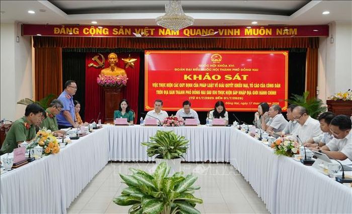Quang cảnh buổi khảo sát.