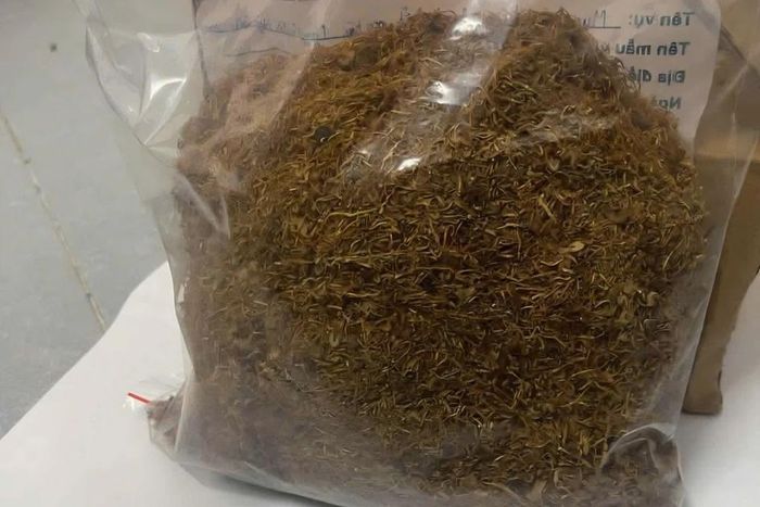Tang vật là ma túy dạng "cỏ tobaco" bị công an thu giữ trong chuyên án (Ảnh: Công an xã Con Cuông).