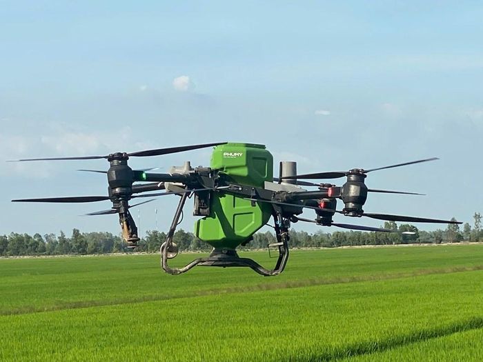 Phú Mỹ ứng dụng drone (thiết bị bay không người lái) trong nông nghiệp giúp giảm chi phí nhân công, rút ngắn thời gian canh tác và nâng cao hiệu quả sử dụng phân bón. Ảnh: A.N/Bnews/vnanet.vn