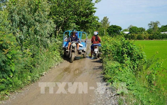 Người dân vất vả vượt qua đoạn đường sình lầy để vào ấp 4, xã Phương Thịnh (Đồng Tháp). Ảnh: Nhựt An - TTXVN