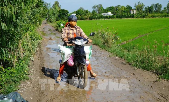 Người dân vất vả vượt qua đoạn đường sình lầy để vào ấp 4, xã Phương Thịnh (Đồng Tháp). Ảnh: Nhựt An - TTXVN