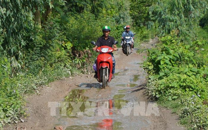 Đường bờ Bắc kênh An Phong - Mỹ Hòa (đoạn từ cầu Phương Thịnh đến kênh Tây Cập) lầy lội, trơn trượt vào mùa mưa. Ảnh: Nhựt An - TTXVN