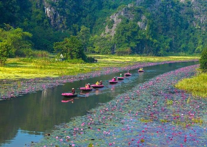 Du khách đắm chìm trong sắc thu Ninh Bình. Ảnh minh họa/Nguồn: Trung tâm xúc tiến du lịch Ninh Bình