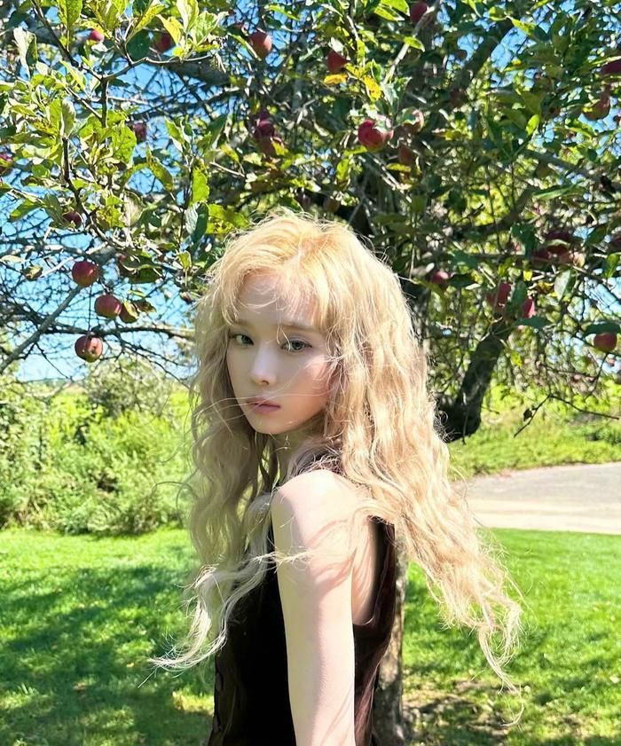 Không ít người hâm mộ bày tỏ sự thất vọng trước những chỉ trích nhắm vào nữ idol.