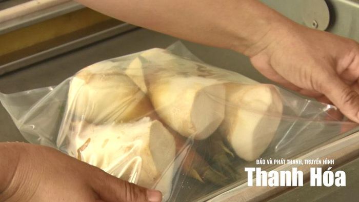 Sản phẩm măng lục trúc Xuân Hanh đạt tiêu chuẩn OCOP 3 sao.