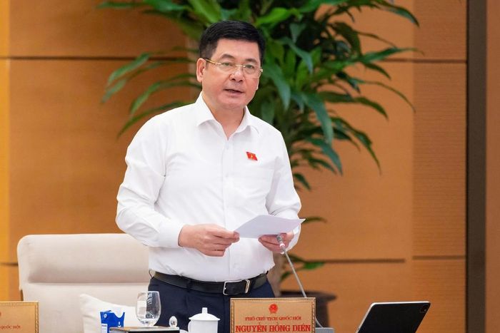 Phó Chủ tịch Quốc hội Nguyễn Hồng Diên phát biểu kết luận nội dung làm việc. Ảnh: Cổng thông tin điện tử của Quốc hội.
