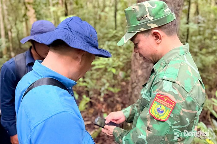 Đào tìm, khảo sát những dấu tích nghi có một liệt sĩ tại Vườn quốc gia Bù Gia Mập. Ảnh: ĐVCC