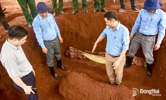 Lực lượng chức năng khảo sát khu vực phát hiện mộ tập thể tại xã Minh Đức. Ảnh: ĐVCC