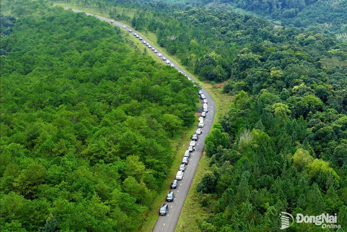 Đoàn Caravan thiện nguyện Hội Doanh nhân trẻ thành phố Đồng Nai. Ảnh: DNT