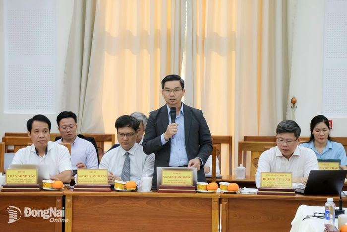 GS Nguyễn Quang Trung, Trưởng khoa Quản trị, Trường đại học RMIT Việt Nam chia sẻ tại hội nghị. Ảnh: Hải Quân
