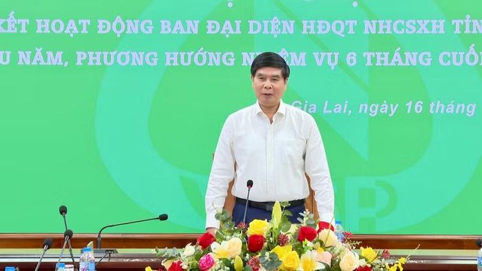 Phó Chủ tịch UBND tỉnh Lâm Hải Giang phát biểu tại hội nghị. Ảnh: Nhật Trường