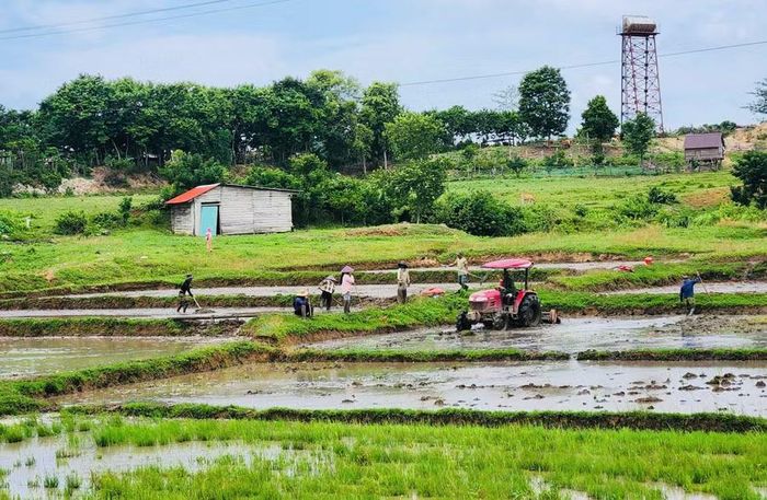 Người dân ở buôn Prong (xã Phú Túc) tích cực lao động sản xuất. Ảnh: P.D