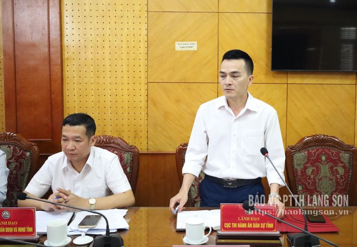 Lãnh đạo Thi hành án dân sự tỉnh phát biểu ý kiến tại chương trình làm việc