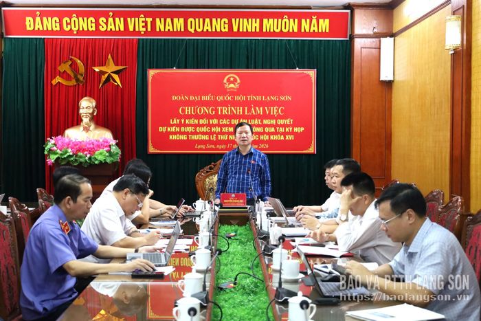 Đồng chí Nguyễn Đặng Ân, Phó Trưởng Đoàn chuyên trách Đoàn Đại biểu Quốc hội tỉnh phát biểu tại chương trình làm việc