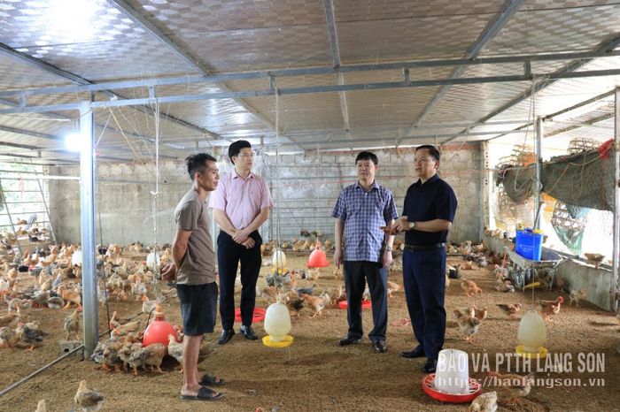 Đoàn khảo sát thực tế mô hình chăn nuôi gà tại xã Khuất Xá