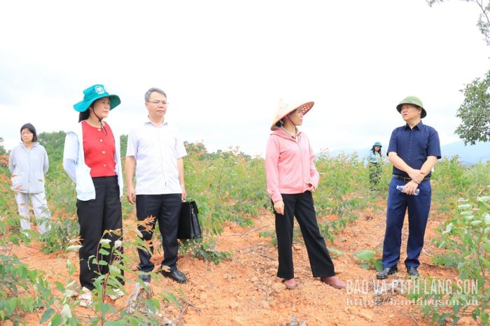 Thành viên hợp tác xã trao đổi một số khó khăn trong quá trình sử dụng nguồn vốn vay với đoàn khảo sát