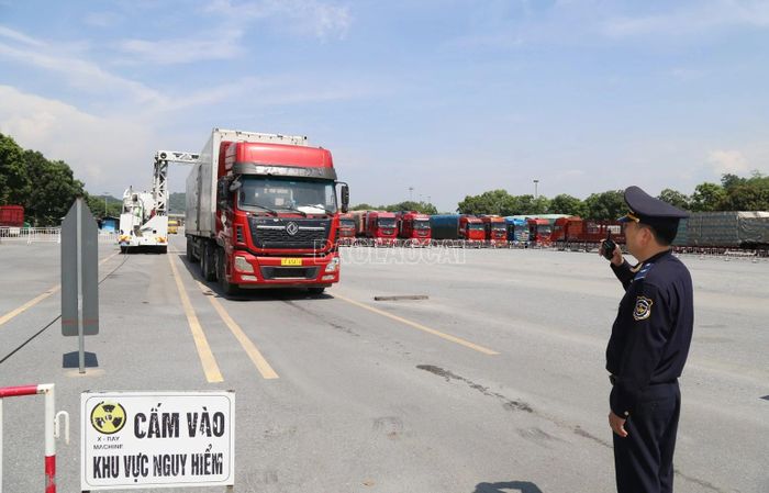  Hệ thống máy soi chiếu container được đưa vào vận hành, nâng cao hiệu quả kiểm tra hàng hóa xuất nhập khẩu. 