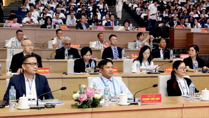 Các đại biểu tham dự hội nghị.