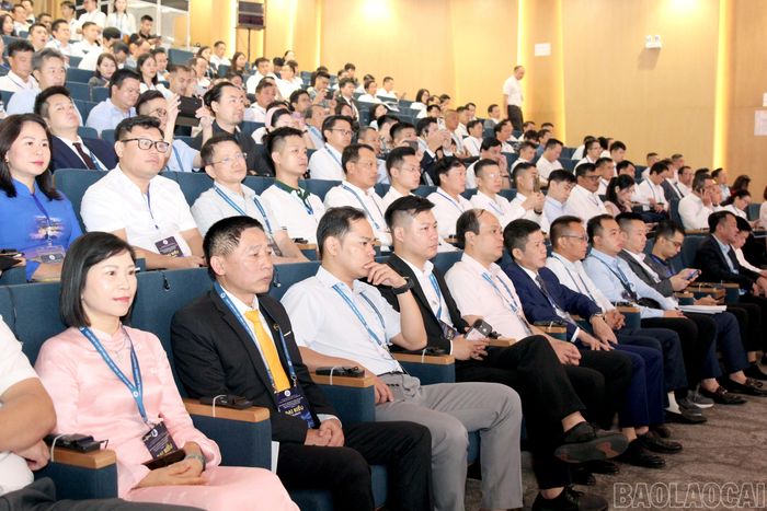 Đại biểu tham dự hội nghị.