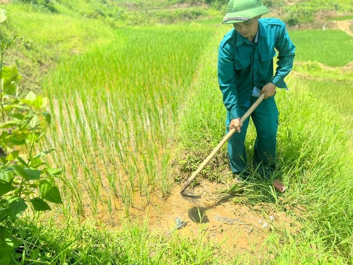 Các tuyến mương được đầu tư, sửa chữa giúp bảo đảm nguồn nước phục vụ sản xuất lúa của người dân.